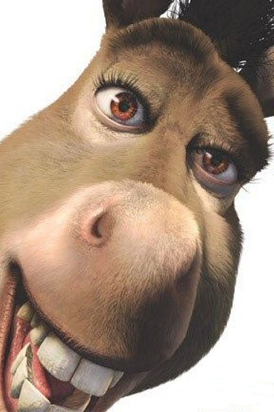 Ослик из Шрека