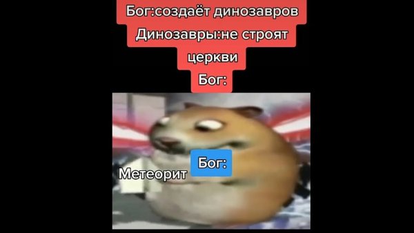 Флекс хомяка