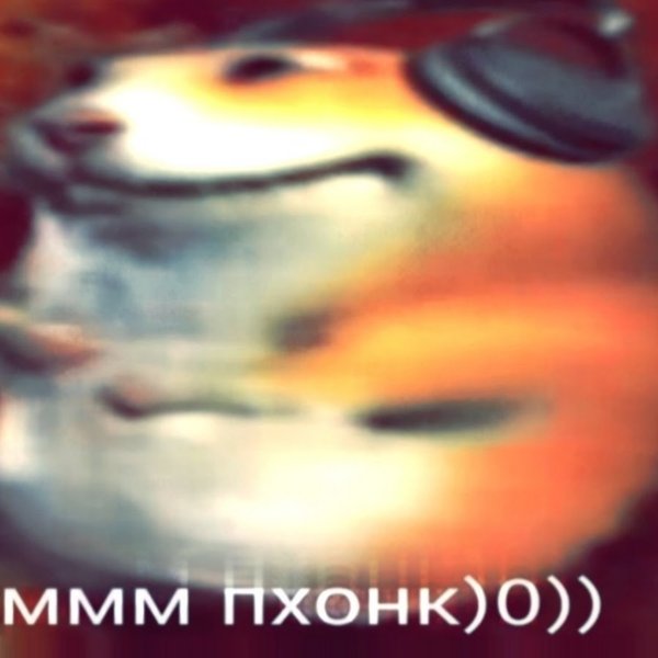 Ммм пхонк Мем хомяк