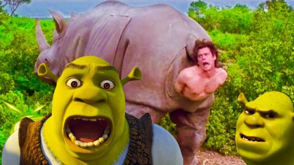 Шрек Мем Самбади