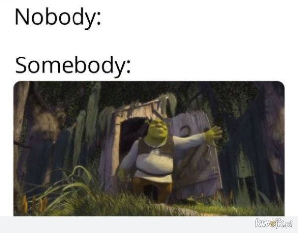 Shrek Somebody once told me