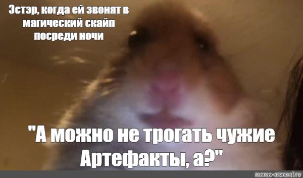 Мемы с хомяками