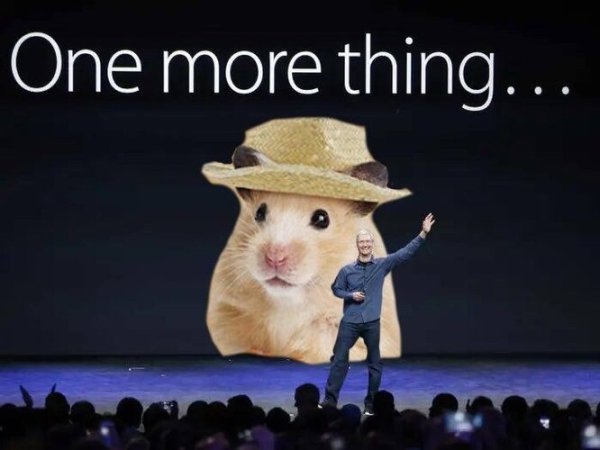 Грустный хомяк Мем на аву