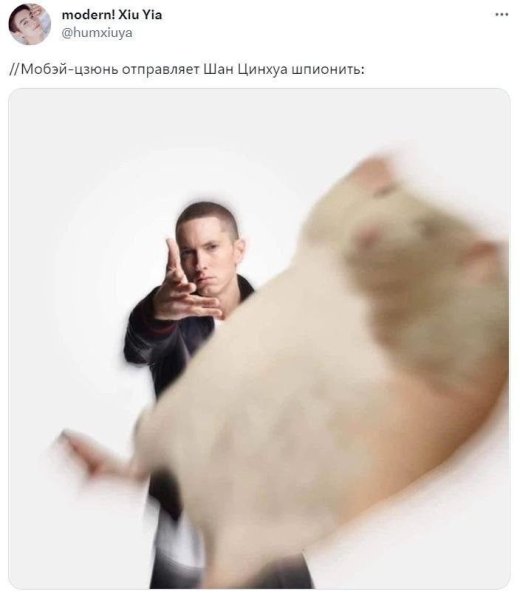 Бросает хомяка Мем