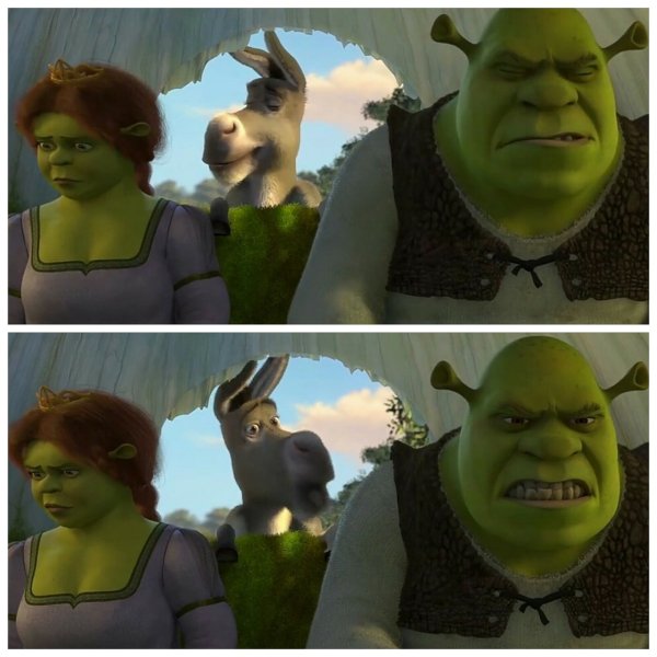 Фиона Шрек папа осел