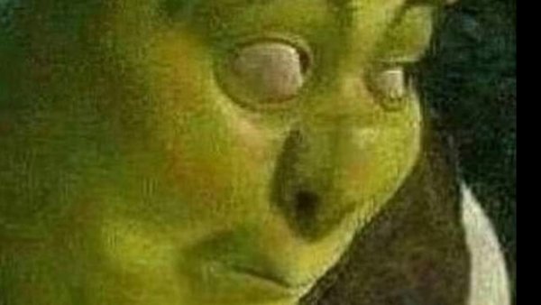 Удивленное лицо Шрека