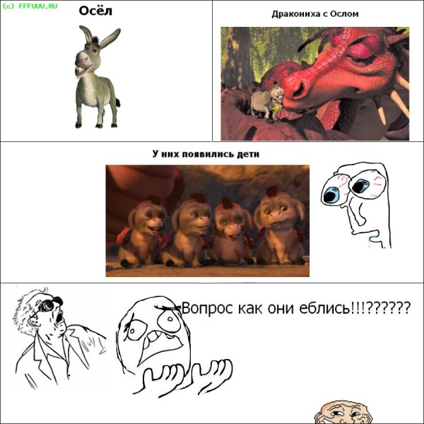 Осел и дракониха