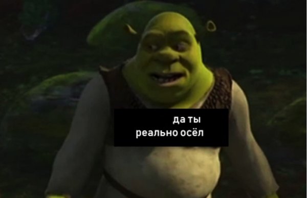 Ты быканул со шреком