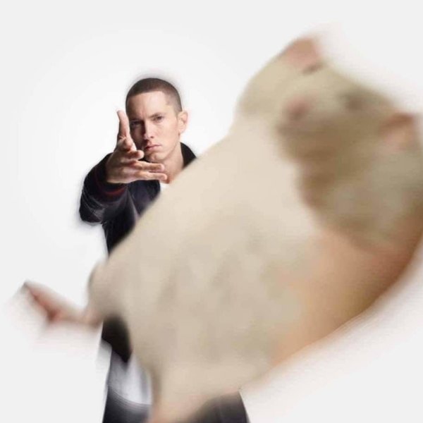 Эминем хомяк