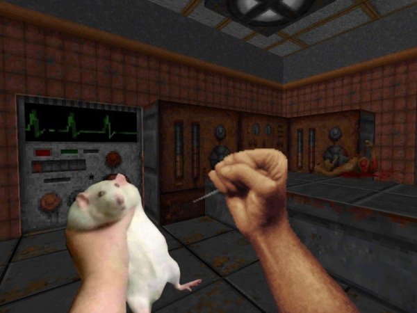 Лови хомяка