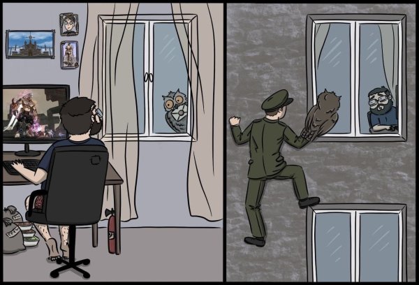 Сова с повесткой