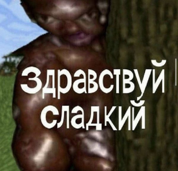 Здравствуй сладкий