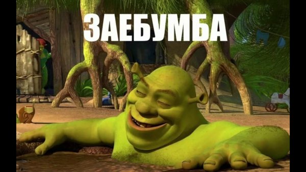 Мемы с Шреком с надписями
