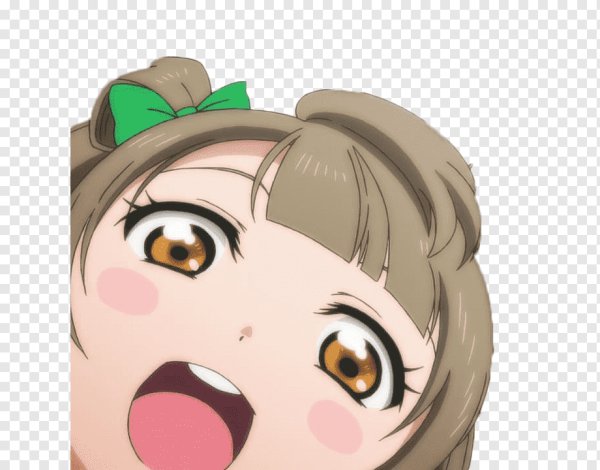 Котори Минами Мем