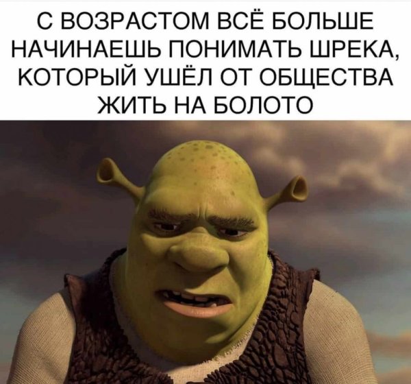 Шрек выходит