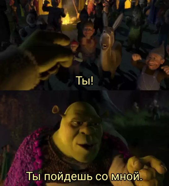 Ты ты идёшь со мной Шрек