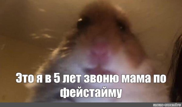 Хомяк Мем
