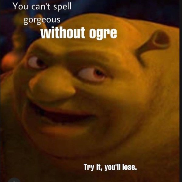 Огр повар Шрек 4