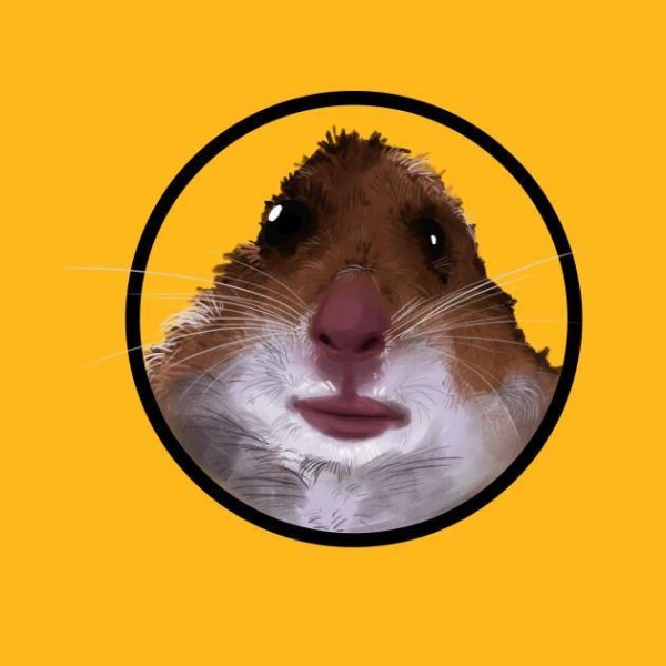 Аватарка хомяка