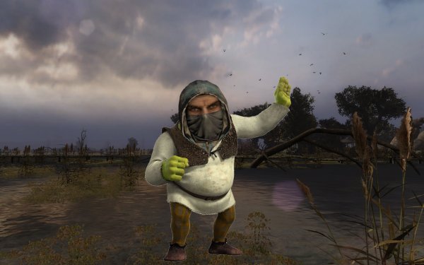 Сталкер чистое небо Мем