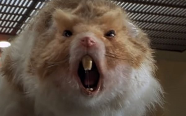 Злобный хомячок