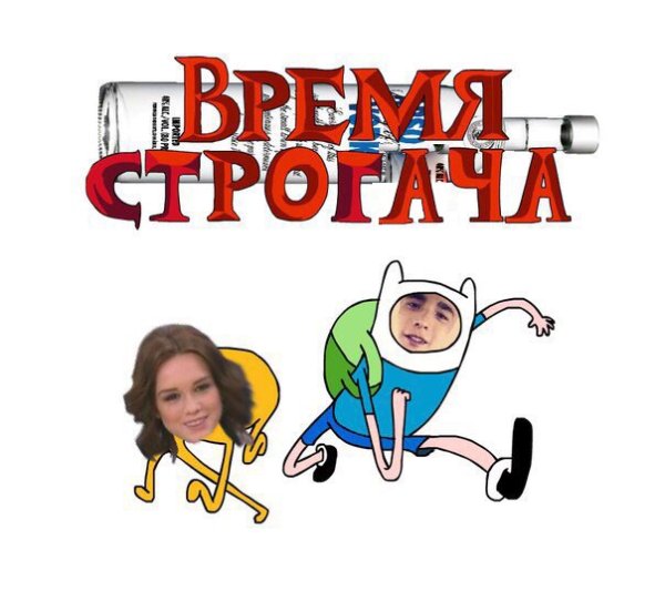 8 Лет строгача гиф