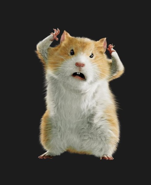 Злобный хомяк