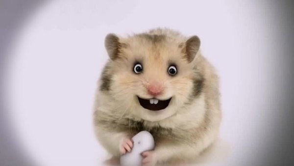 Улыбчивый хомяк
