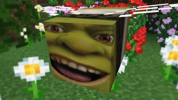 Пчела майнкрафт Мем