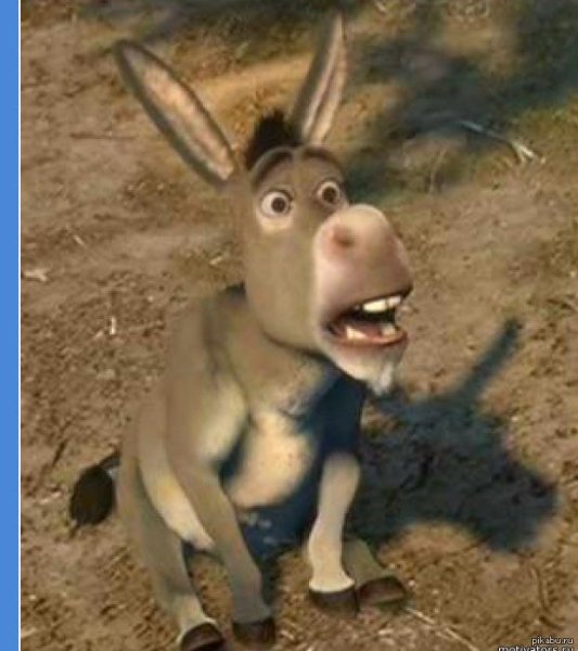 Осел Шрек а сейчас