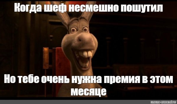 Уже приехали осел