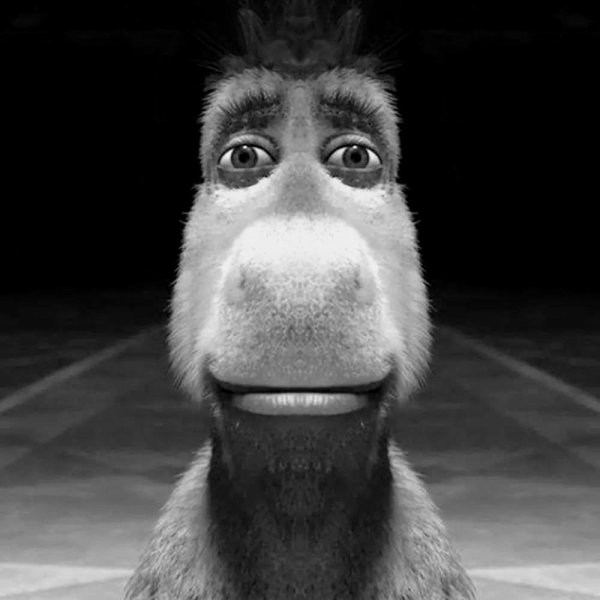 Лицо осла из Шрека