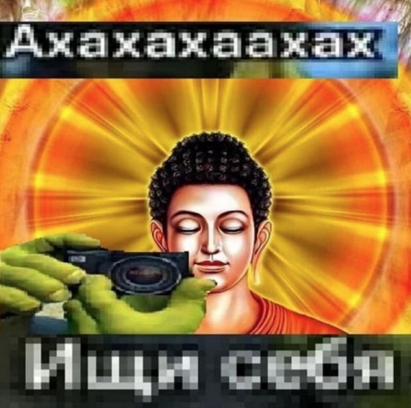 Шрек ищи себя