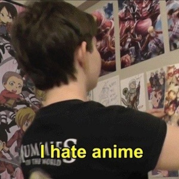 I hate anime