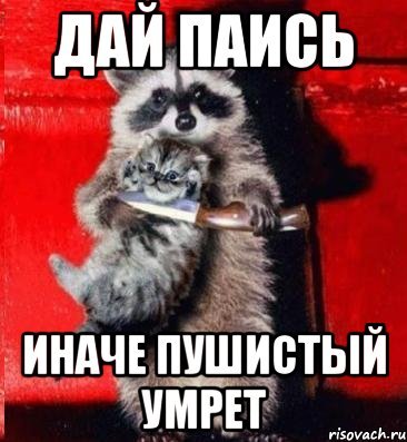 Скинь деньги или Пушистик