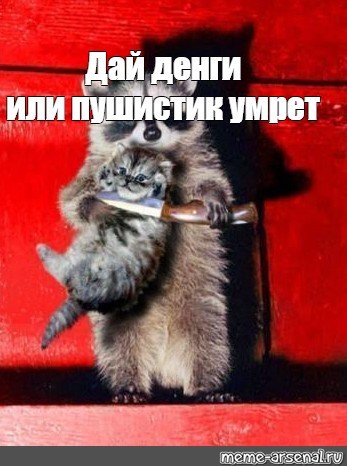 Пушистик помер