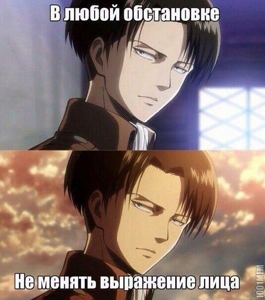 Упоротый Леви Аккерман