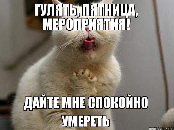 Пятница гуляем