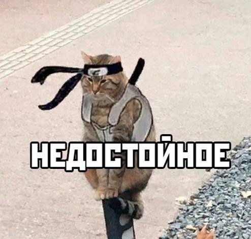 Кот с луком