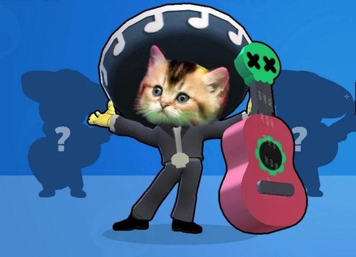 Котики в БРАВЛ старсе