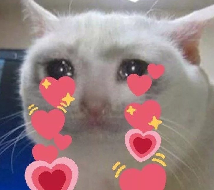 Плачущий кот с сердечками