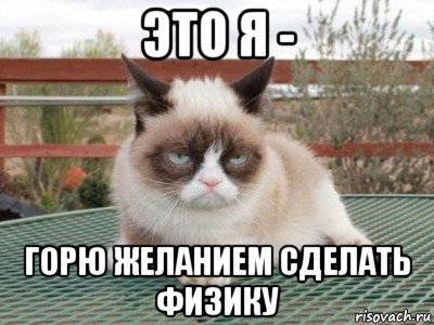 Кот и физика