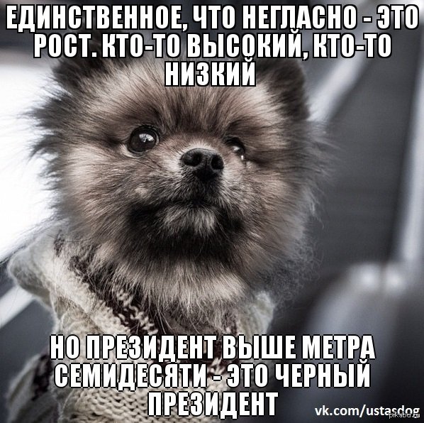 Зависть смешные картинки