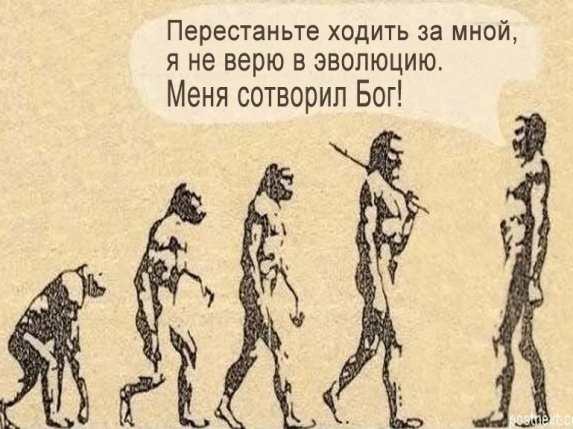 Эволюция человека шутка