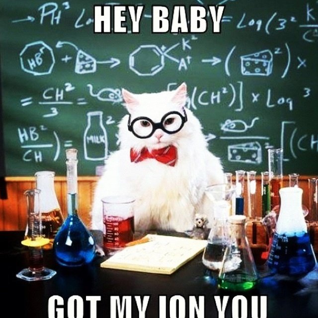 Химия и котики