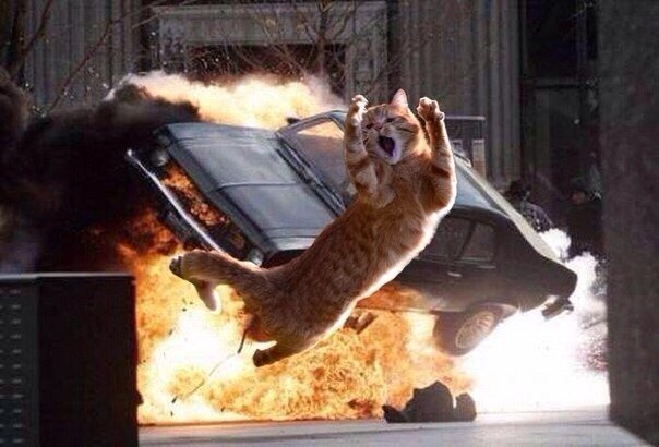 Кот на фоне взрыва