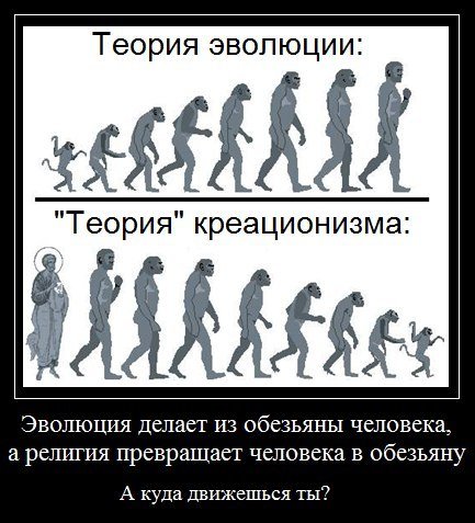 Шутки про эволюцию