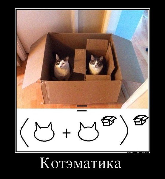 Кот в коробке