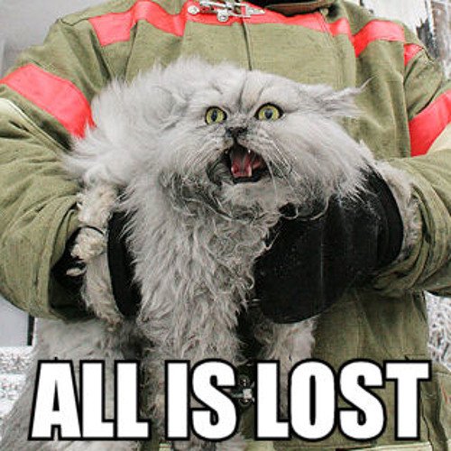 Пожарный с котенком