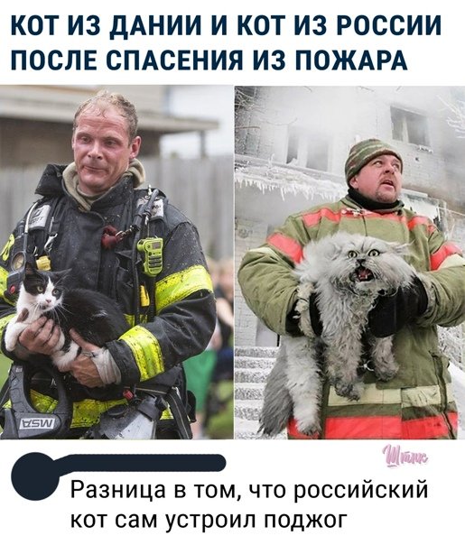 Пожарный и кот Россия